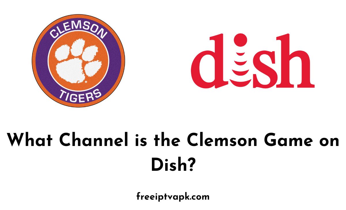 Clemson Game on Dish