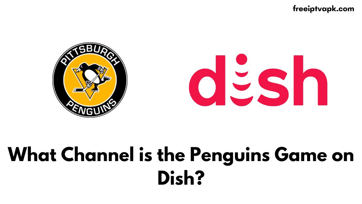 Penguins Game on Dish
